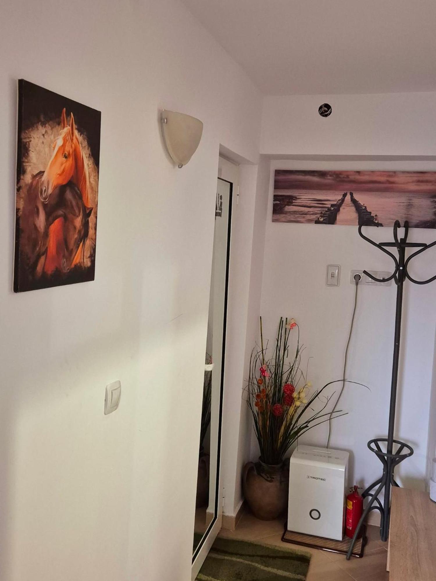 Apartment Shesti Uchastak Γκάμπροβο Εξωτερικό φωτογραφία